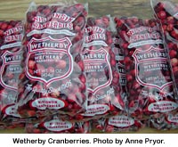 Wetherby Cranberries. Photo by Anne Pryor.