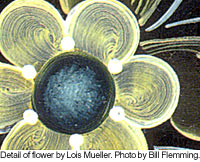 Detail of a flower by Lois Mueller.